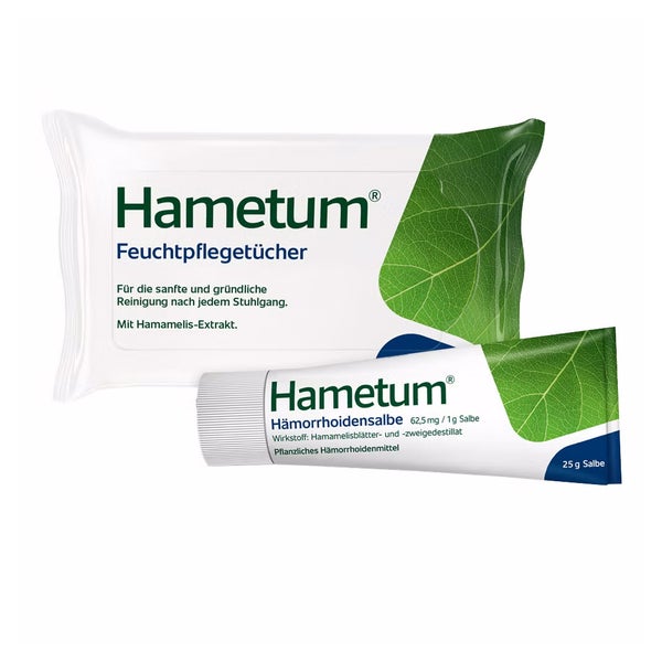 Hametum Salbe + Feuchttücher Set groß 1 Set