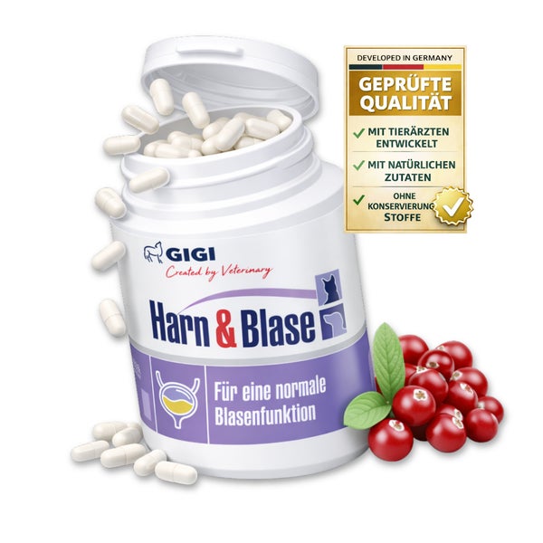 GIGI VET Harn & Blase 90 St