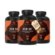 Bio Ashwagandha KSM-66® hochdosiert – Premium Markenrohstoff 630 St