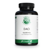Green Naturals Dao 100mg Veg.zum Histaminabbau Kps 90 St