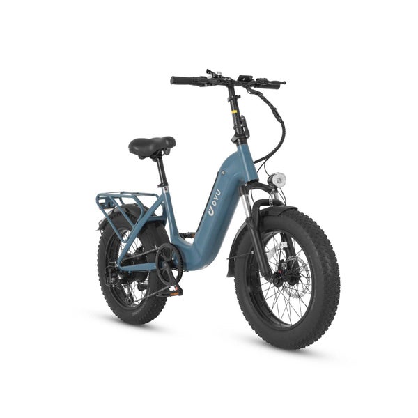 DYU FF500 Elektrofahrrad, 48V 14Ah Wechselakku 1 St