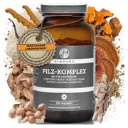 QIDOSHA Pilz Komplex 180 St