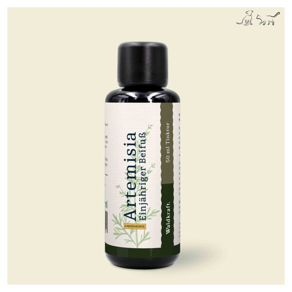 Artemisia - Einjähriger Beifuß (Sauerhonig-Basis) - 50ml 0.05 l