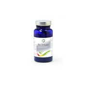 Bio Shiitake – Shiitake Pilz-Extrakt -90 Kapseln / Dose á 300 mg