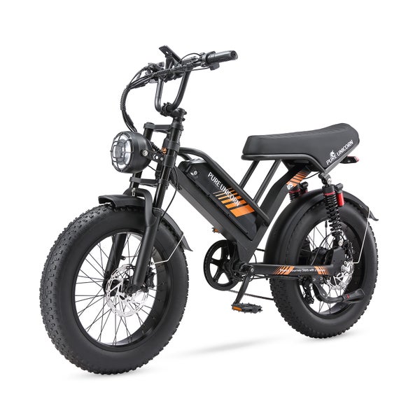 PURE UNICORN U5 Moped-Elektrofahrrad mit 48V 19,2Ah Akku 1 St
