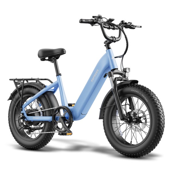 Fafrees F20 Rover Pedelec Fatbike, 48V 15Ah Akku 1 St