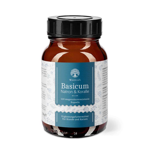 Basicum - Natron Sango-Koralle - 120 St