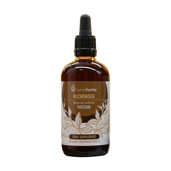 Alchornea (Alchornea cordifolia) Tinktur 1:5 (100ml) 100 ml