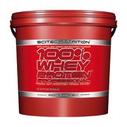Scitec 100% Whey Professional Chocolate