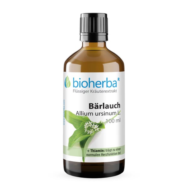 BÄrlauch Extrakt Tropfen 100 ml