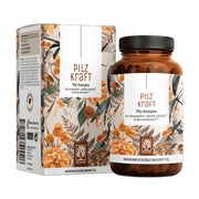 Pilz Komplex mit Chaga, Reishi, Shiitake, Hericium & B Vitaminen - PILZKRAFT - 240 vegane Kapseln - NATURTREU® 2 x 120 St