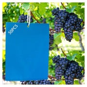 Panngu 50 Blaue Leimtafeln zur Thripse Bekämpfung, Klebefalle für Pflanzen