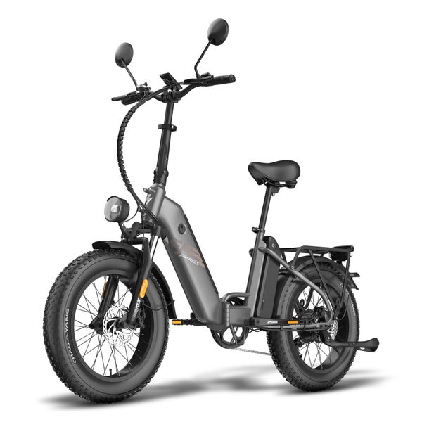 FAFREES FF20 Polar Elektrofahrrad, 48V 13,4Ah Akku (* 2) 1 St