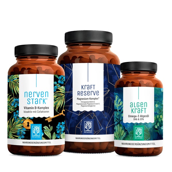 Durchstarter Paket: B-Vitamine, Magnesium & Omega 3 in einem veganen Bundle - NERVENSTARK, KRAFTRESERVE & ALGENKRAFT - NATURTREU® 273.2 g