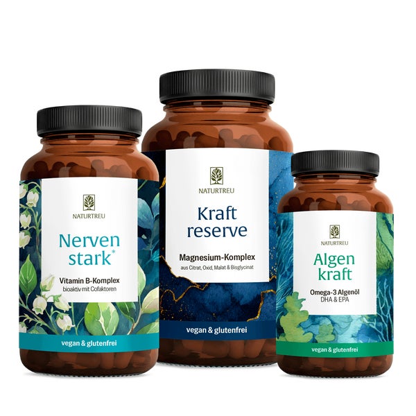Durchstarter Paket: B-Vitamine, Magnesium & Omega 3 in einem veganen Bundle - NERVENSTARK, KRAFTRESERVE & ALGENKRAFT - NATURTREU® 274.7 g