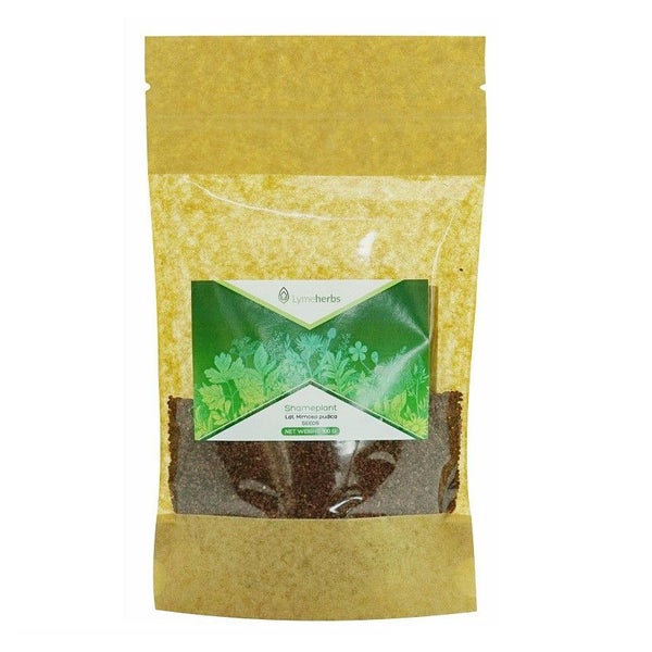 Mimose Pudica getrocknete Samen (100 g) 100 g