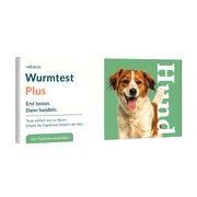 Wurmtest Plus Hund – inkl. Lungenwürmer 1 St