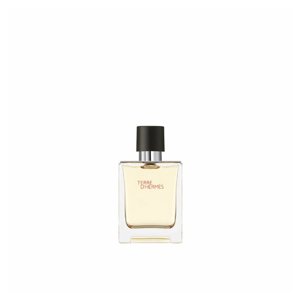 Hermes Terre D´Hermes Eau de Toilette 50ml 0,05 l