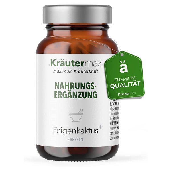 Feigenkaktus+ 60 St
