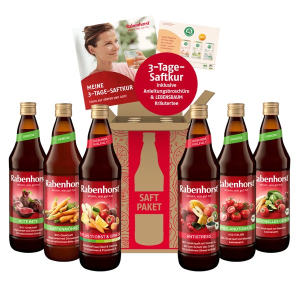 Rabenhorst 3-Tage-Saftkur 4200 ml