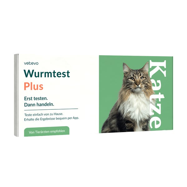 Wurmtest Plus Katze – inkl. Lungenwürmer 1 St