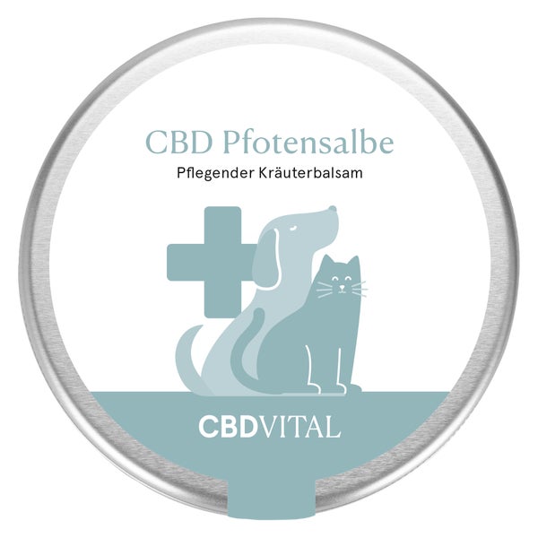 CBD VITAL Pfotensalbe zum Ballenschutz | Sommer & Winter 100 ml