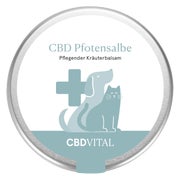 CBD VITAL Pfotensalbe zum Ballenschutz | Sommer & Winter 100 ml