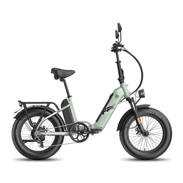 Faltbares Elektrofahrrad FAFREES FF20 Polar mit Doppelakku 1 St