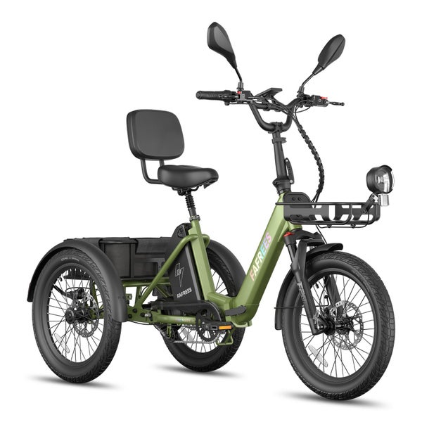 Fafrees F20 Mate-II Elektro-Lastendreirad mit 48V 25Ah Akku 1 St