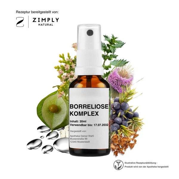 Zimply Natural BORRELIOSE KOMPLEX - Pflanzbasierte Rezeptur 30 ml