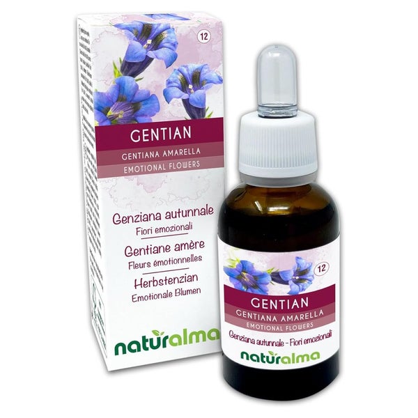 Naturalma Herbstenzian Gentiana amarella Tropfen 30 ml