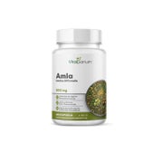 VitaSanum® Amla (Emblica officinalis) – 1500 mg Tagesportion – 120 Kapseln 120 St