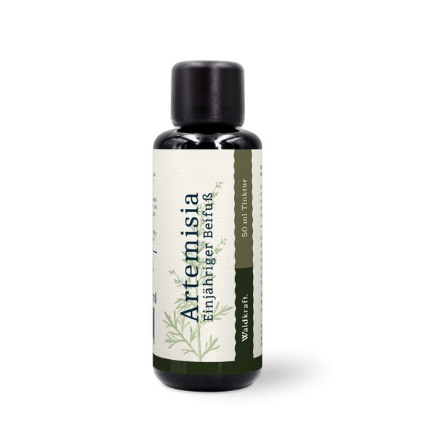 Artemisia - Einjähriger Beifuß (Alkohol-Auszug) - 50ml 0.05 l
