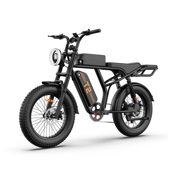 URLIFE T2 Vollgefedertes E-Bike mit 48 V 15,6 Ah Akku 1 St
