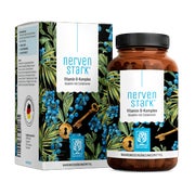 Vitamin B Komplex hochdosiert - Alle 8 B Vitamine mit 3 Cofaktoren - NERVENSTARK - 120 vegane Kapseln - NATURTREU® 120 St