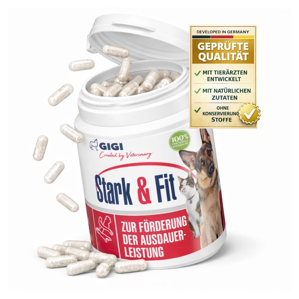 GIGI VET Stark & Fit 30 St