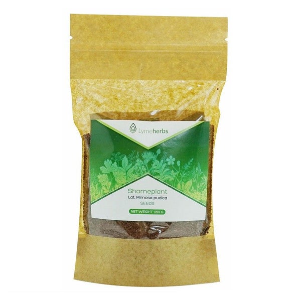 Mimose Pudica getrocknete Samen (250 g) 250 g