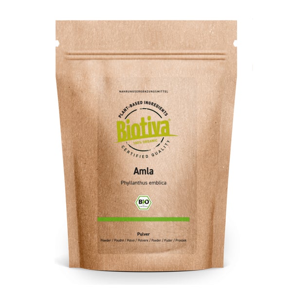 Biotiva Amla Pulver Bio 250 g
