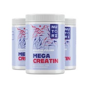 MEGA CREATIN PULVER 1500 g
