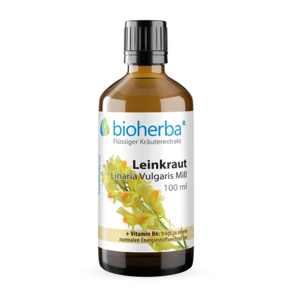 Leinkraut Extrakt Tropfen 100 ml