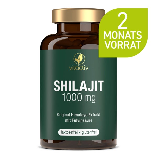 Vitactiv SHILAJIT 1000 mg 120 St
