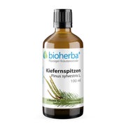 Kiefernspitzen Pinus Sylvestris L Extrakt Tropfen 100 ml