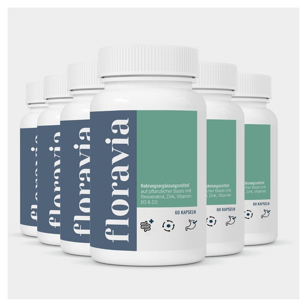 NutriSolution Floravia 6x60 St