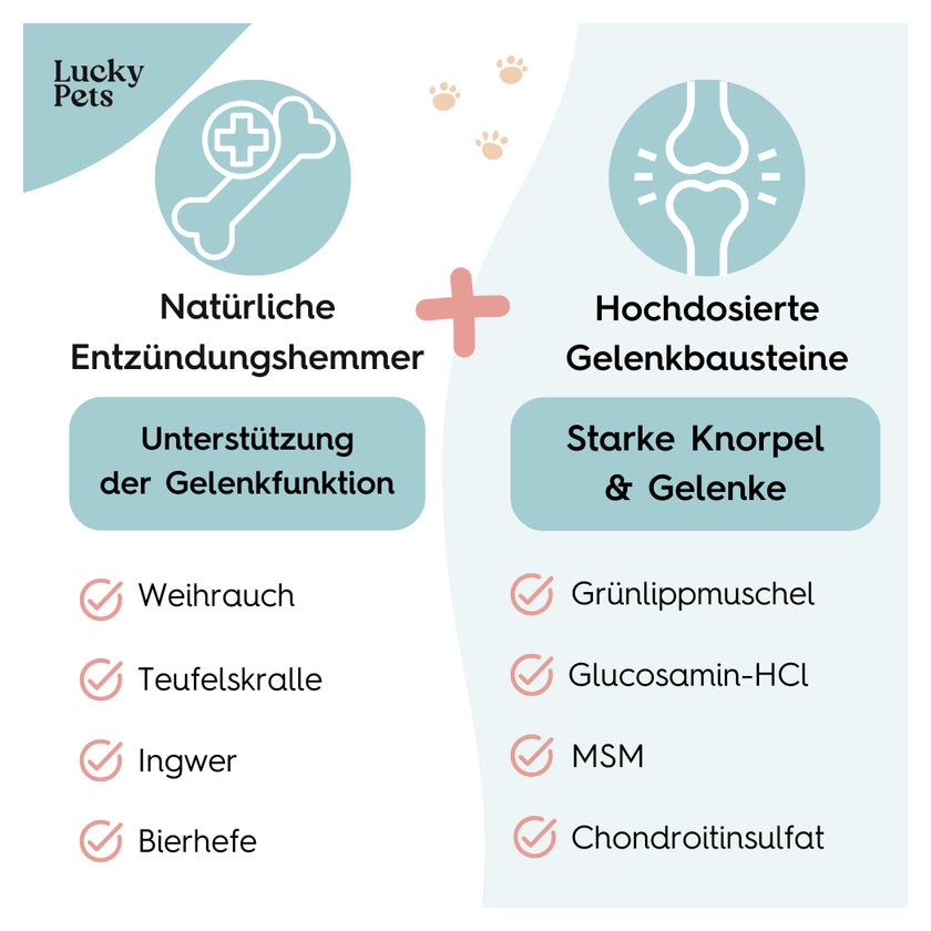 Lucky Pets Gelenktabletten fr Hunde mit Grunlippmuschel 300 g gnstig  kaufen | medpex