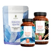Kreatin, Magnesium & Aminosäuren für Muskeln & Leistung in einem veganen Paket - RUNDUM FIT Sparkpaket - KREATINQUELLE, MUSKELRATION & AMINOKRAFT - NATURTREU® 761.9 g