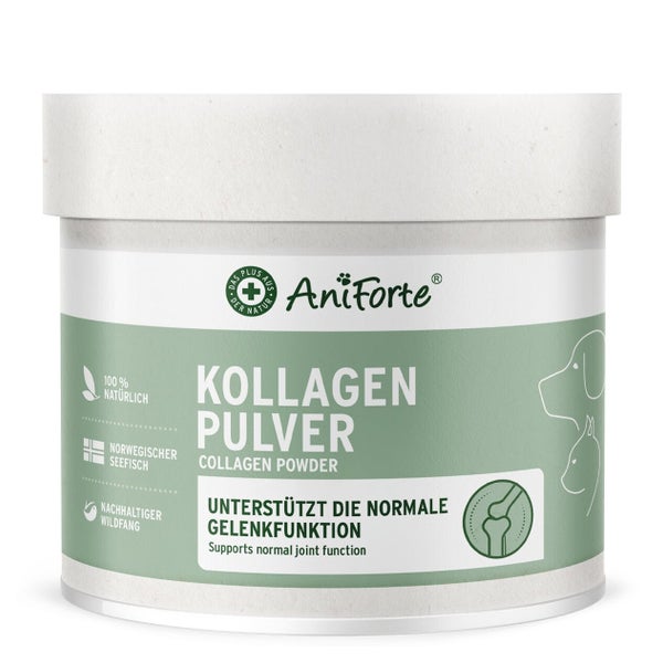 AniForte Kollagen Pulver - ehemals CollaMove dog 250 g