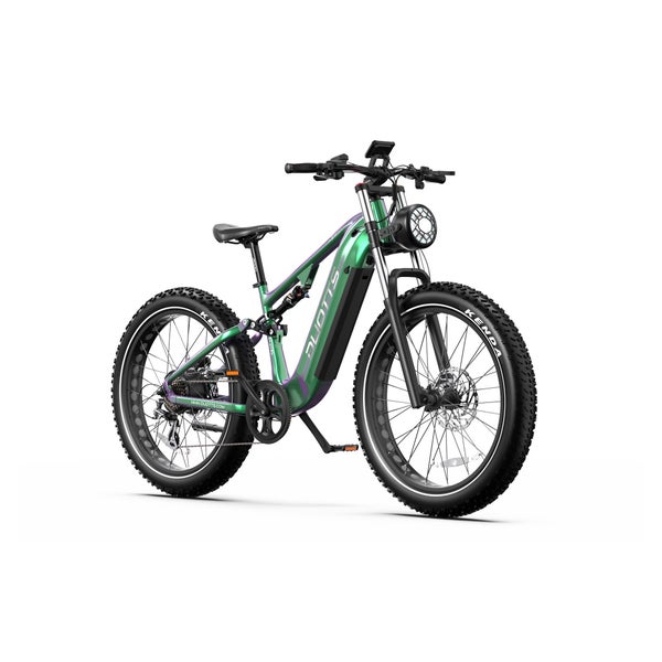 DUOTTS E26 26" Fatbike-Elektro-Mountainbike 48V 20Ah 1 St