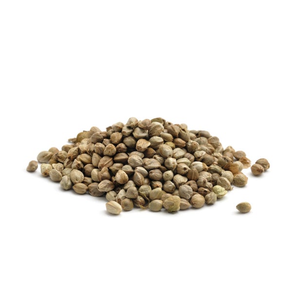 Bio Hanfprotein Pulver 500 g