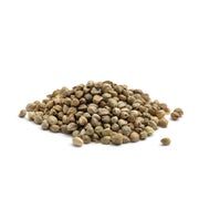 Bio Hanfprotein Pulver 500 g
