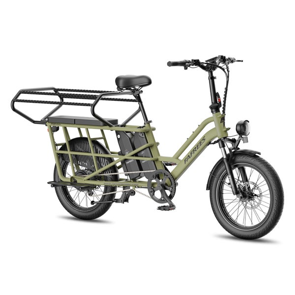 FAFREES FF20 CUV Elektro-Lastenrad, 15-Ah-Doppelakku 1 St